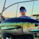 thon pris au leurre Good Bait