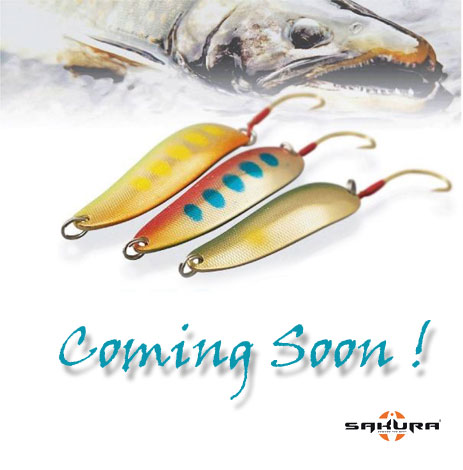 ambiances-Art-Fishing